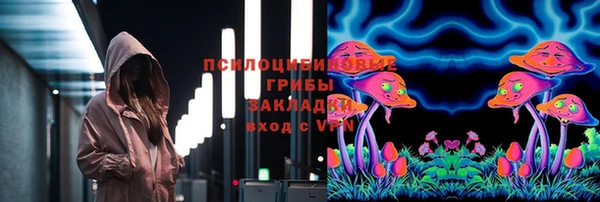 стафф Новодвинск