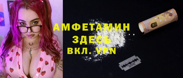 стафф Новодвинск