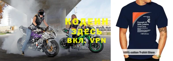 стафф Новодвинск