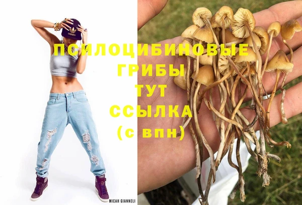 стафф Новодвинск
