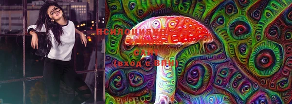 стафф Новодвинск