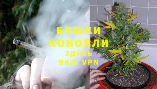 стафф Новодвинск