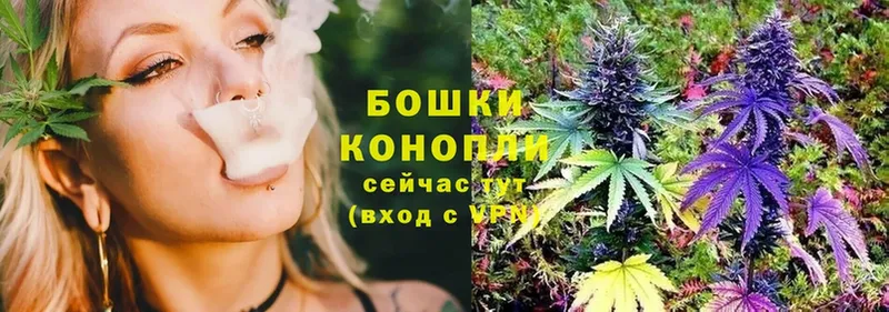 МЕГА вход  Каневская  Конопля планчик 